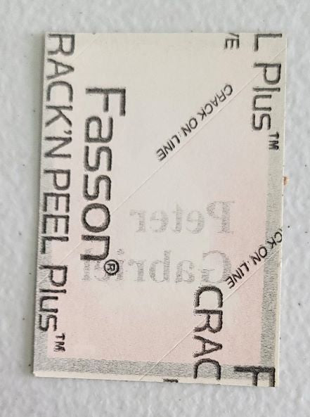 Peter Gabriel 80's in Concert Cloth Small Backstage Pass 2"x3"